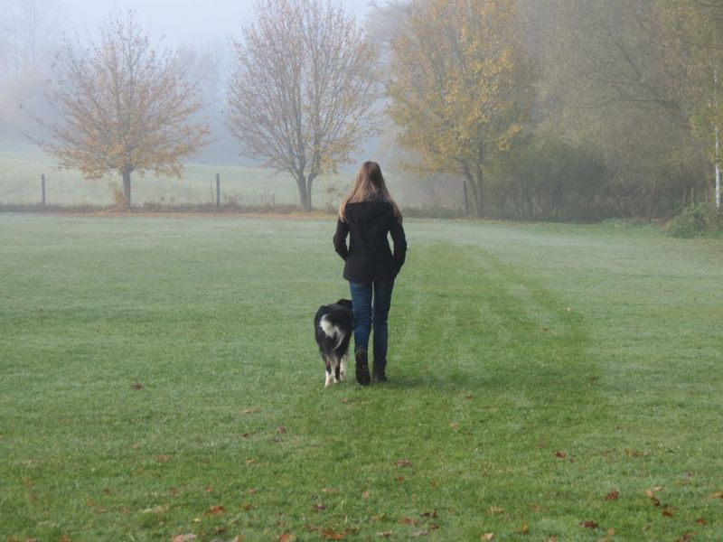 Begleithundeprüfung Herbst 2015