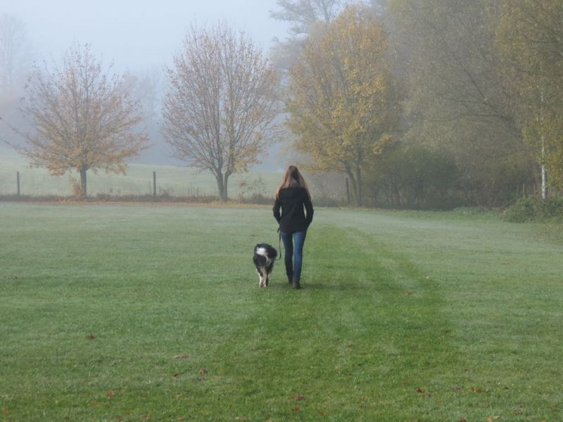 Begleithundeprüfung Herbst 2015