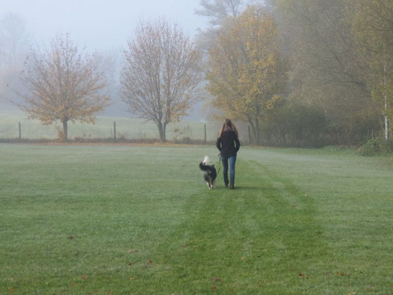 Begleithundeprüfung Herbst 2015