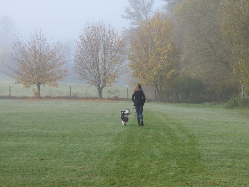 Begleithundeprüfung Herbst 2015
