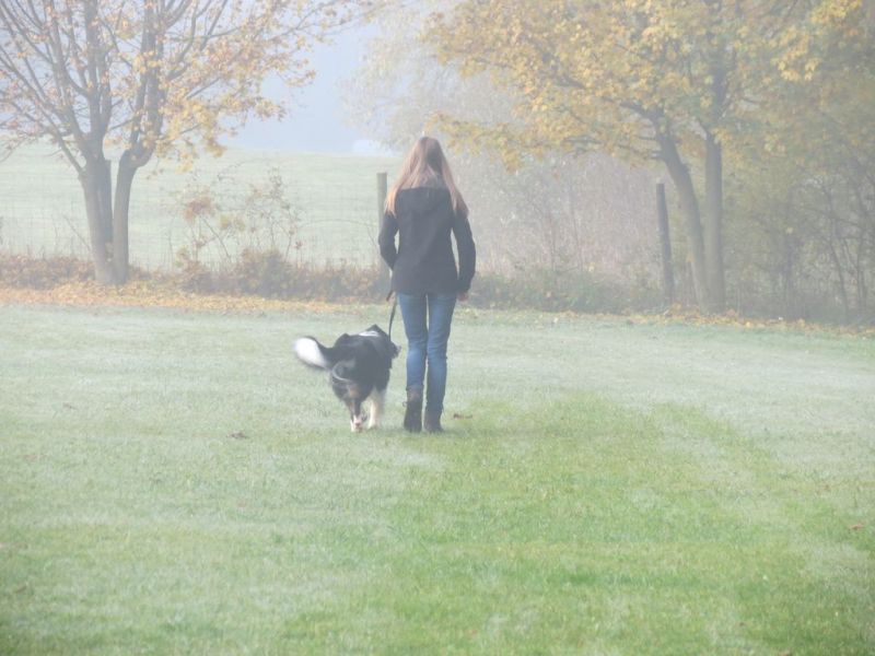 Begleithundeprüfung Herbst 2015