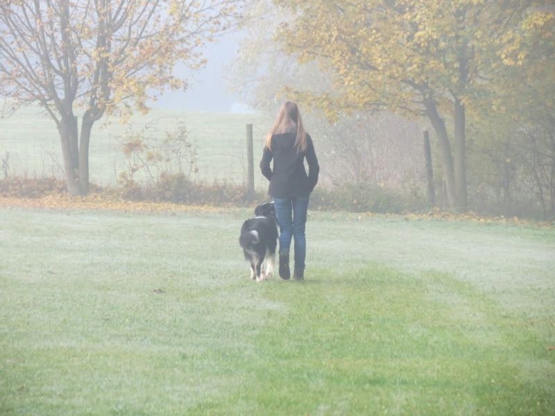 Begleithundeprüfung Herbst 2015