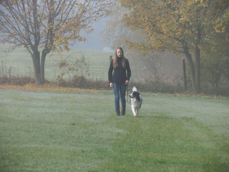 Begleithundeprüfung Herbst 2015