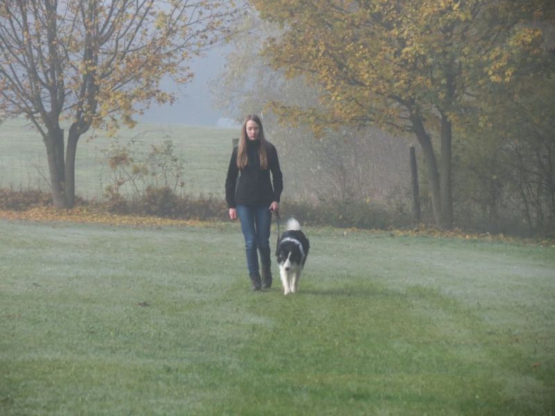Begleithundeprüfung Herbst 2015