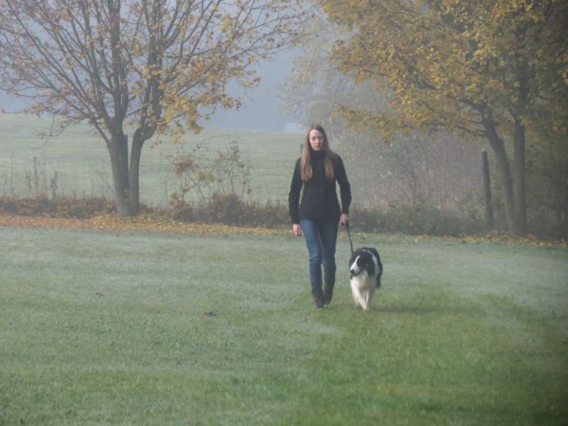 Begleithundeprüfung Herbst 2015