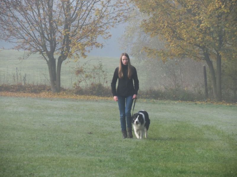 Begleithundeprüfung Herbst 2015