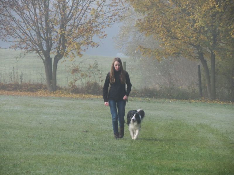 Begleithundeprüfung Herbst 2015