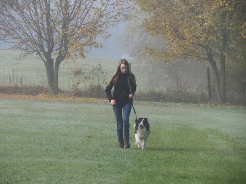 Begleithundeprüfung Herbst 2015