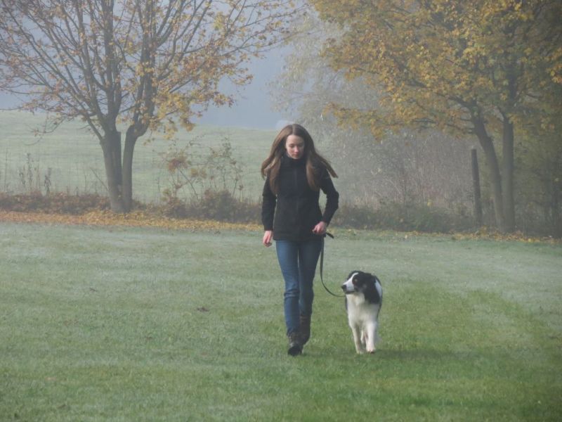 Begleithundeprüfung Herbst 2015