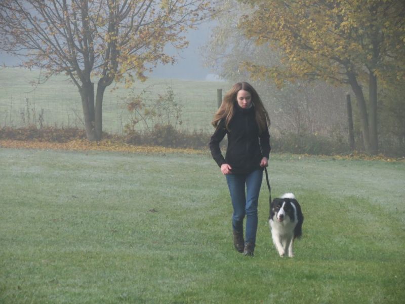 Begleithundeprüfung Herbst 2015