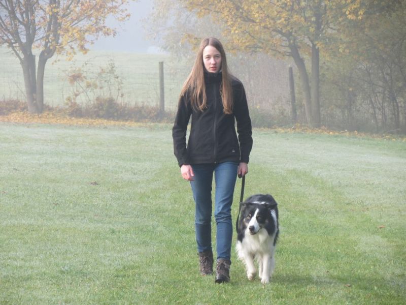 Begleithundeprüfung Herbst 2015