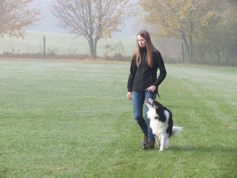 Begleithundeprüfung Herbst 2015