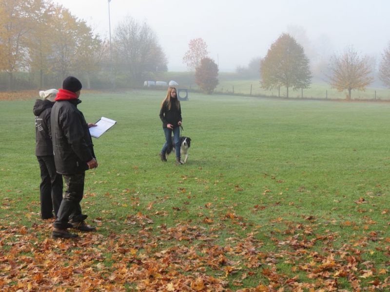 Begleithundeprüfung Herbst 2015