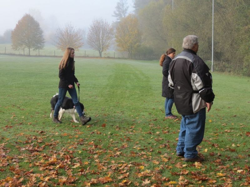 Begleithundeprüfung Herbst 2015