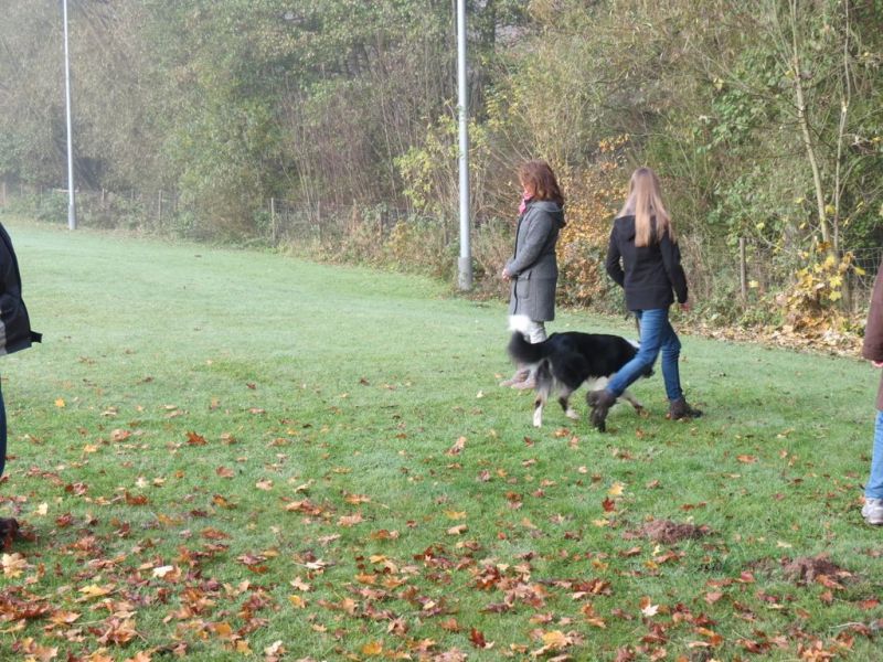 Begleithundeprüfung Herbst 2015