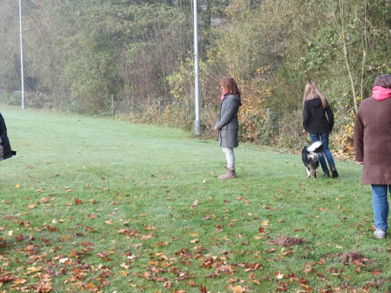 Begleithundeprüfung Herbst 2015