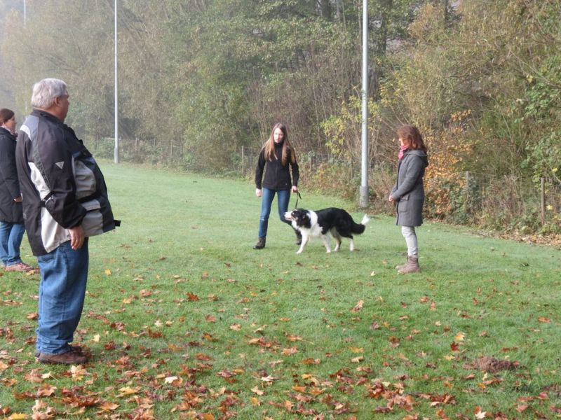 Begleithundeprüfung Herbst 2015