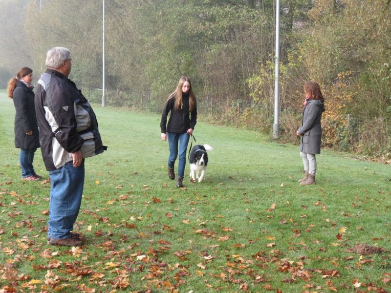 Begleithundeprüfung Herbst 2015