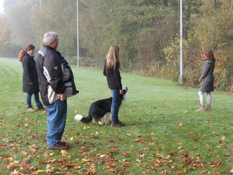 Begleithundeprüfung Herbst 2015