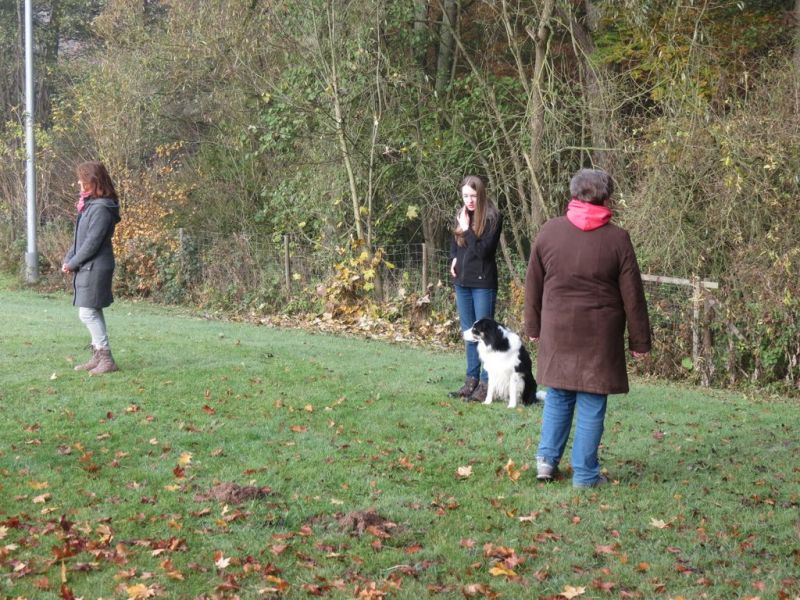 Begleithundeprüfung Herbst 2015
