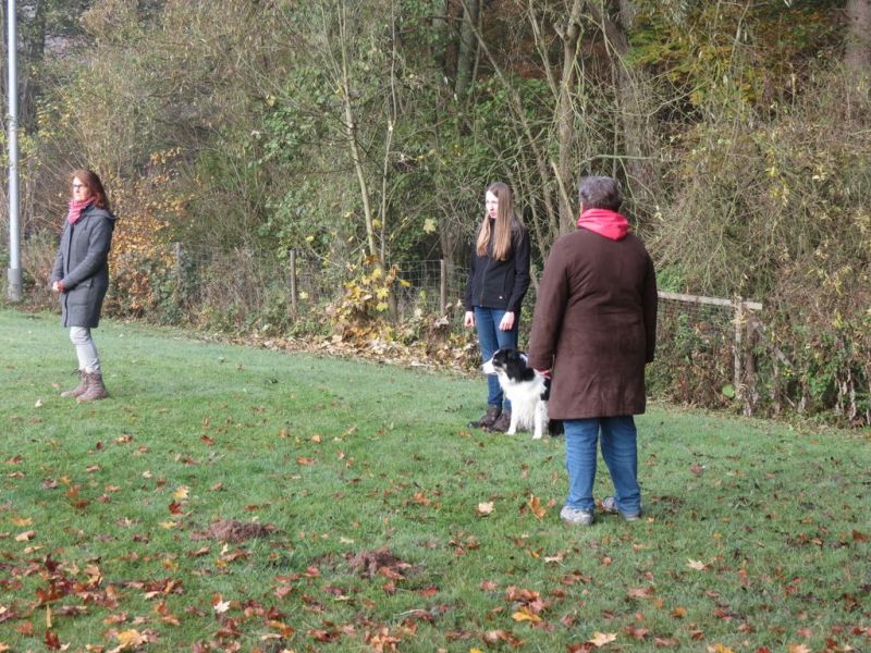 Begleithundeprüfung Herbst 2015