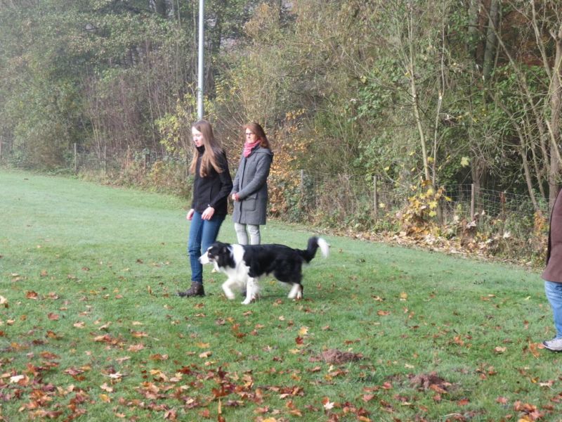 Begleithundeprüfung Herbst 2015