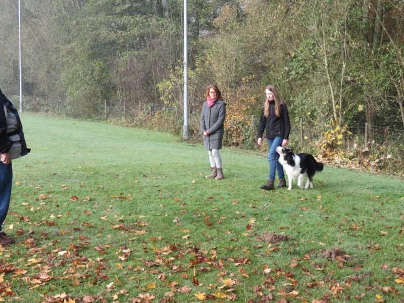 Begleithundeprüfung Herbst 2015