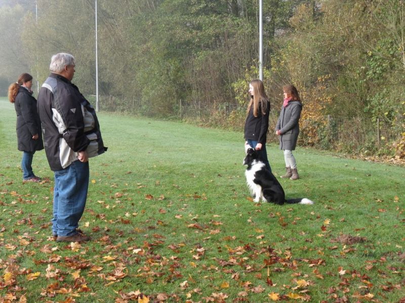 Begleithundeprüfung Herbst 2015