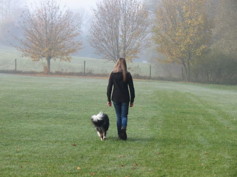 Begleithundeprüfung Herbst 2015