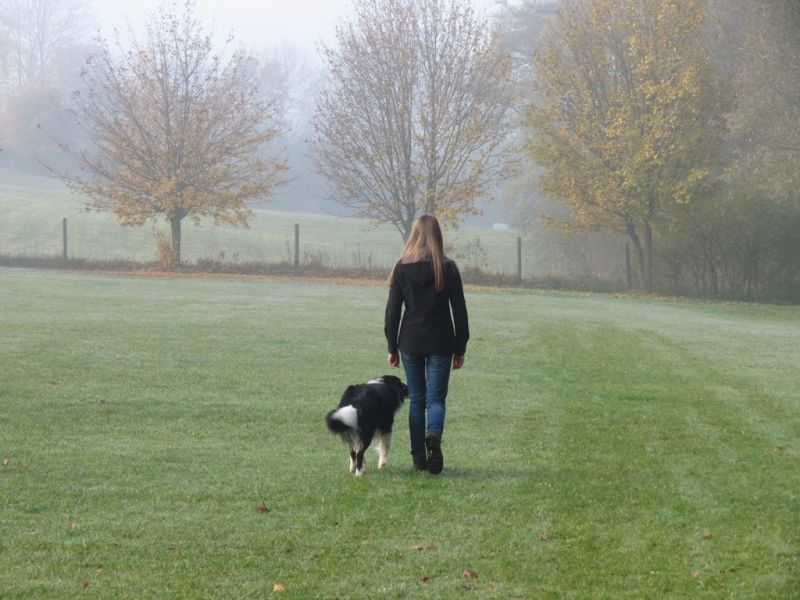 Begleithundeprüfung Herbst 2015