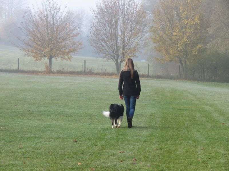 Begleithundeprüfung Herbst 2015