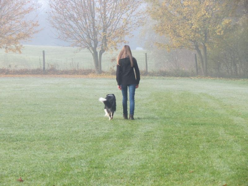 Begleithundeprüfung Herbst 2015