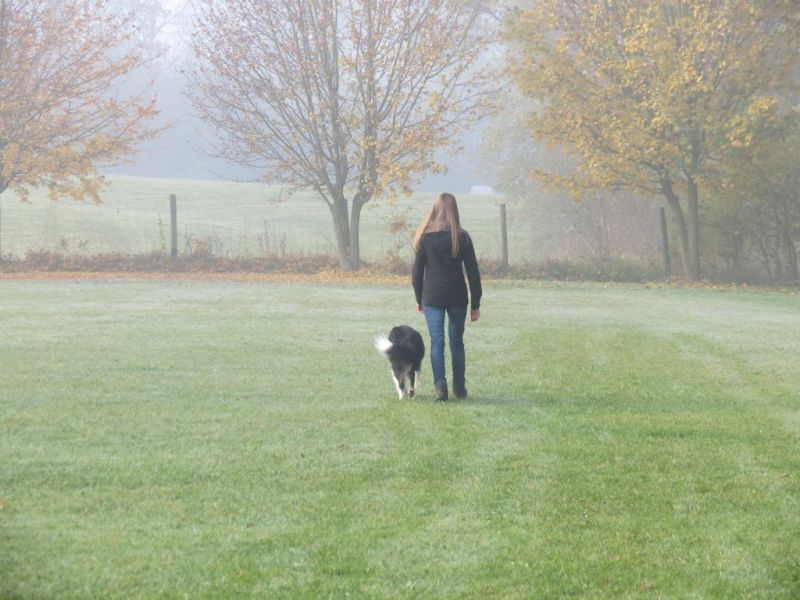 Begleithundeprüfung Herbst 2015