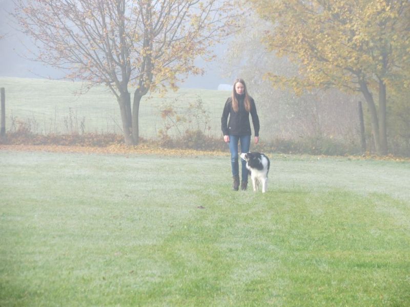 Begleithundeprüfung Herbst 2015