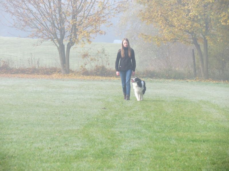 Begleithundeprüfung Herbst 2015