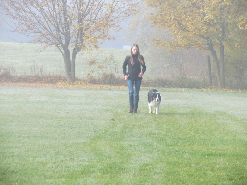 Begleithundeprüfung Herbst 2015