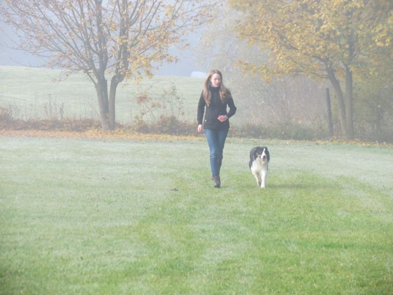 Begleithundeprüfung Herbst 2015