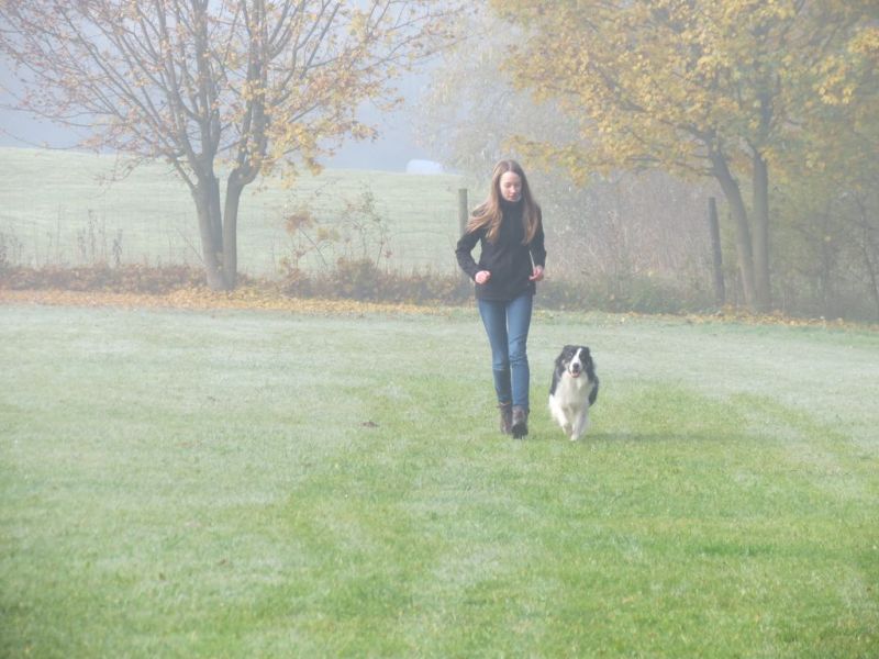 Begleithundeprüfung Herbst 2015