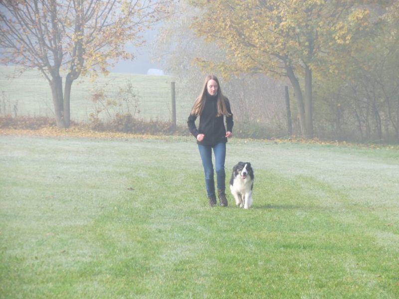 Begleithundeprüfung Herbst 2015