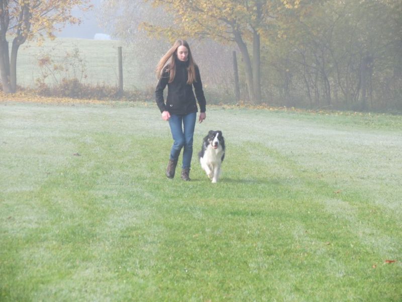 Begleithundeprüfung Herbst 2015