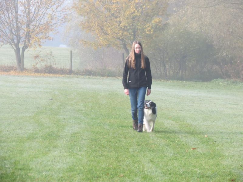 Begleithundeprüfung Herbst 2015
