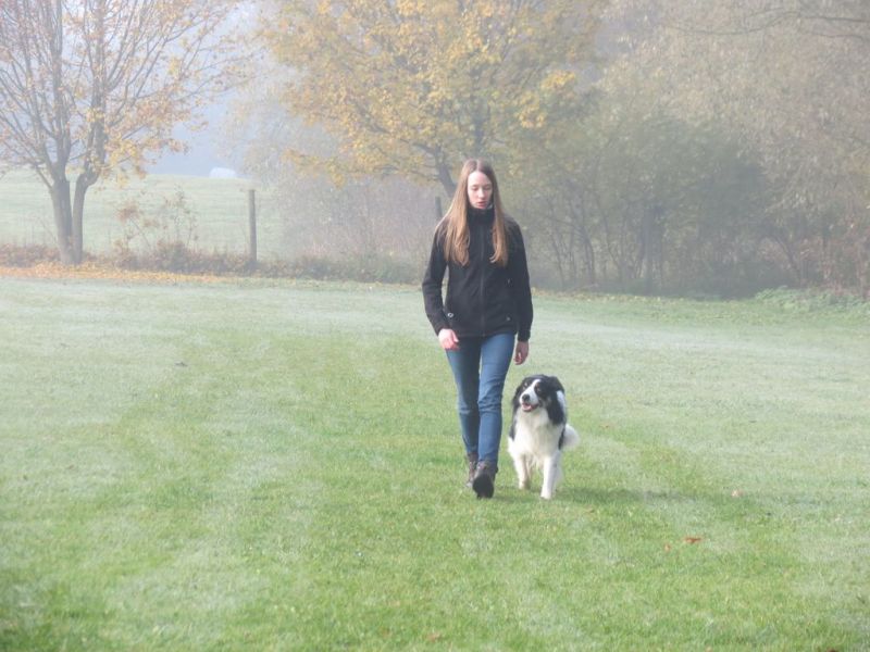 Begleithundeprüfung Herbst 2015