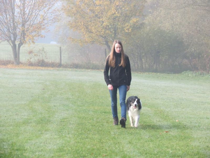 Begleithundeprüfung Herbst 2015