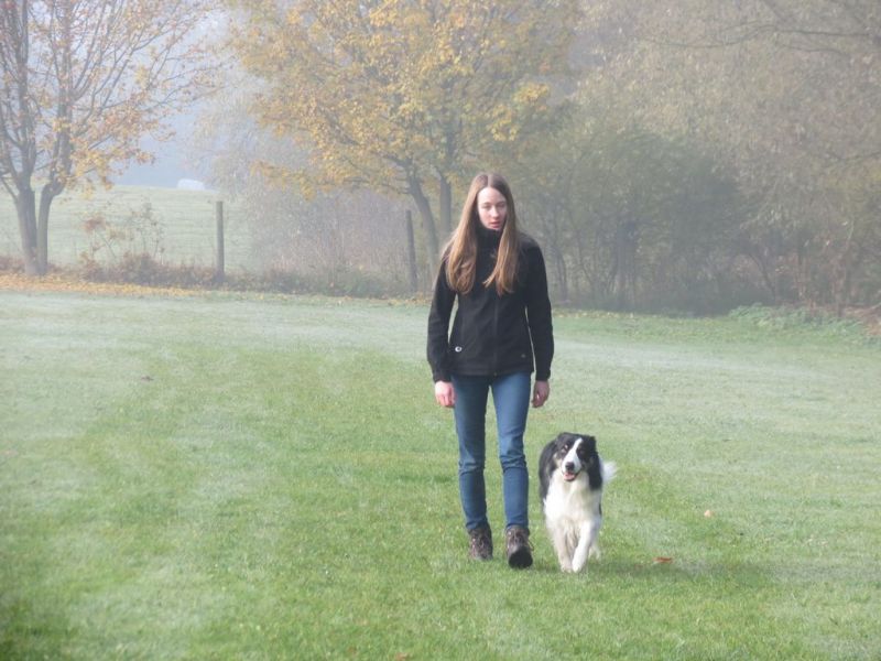 Begleithundeprüfung Herbst 2015
