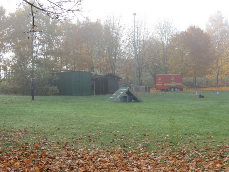 Begleithundeprüfung Herbst 2015