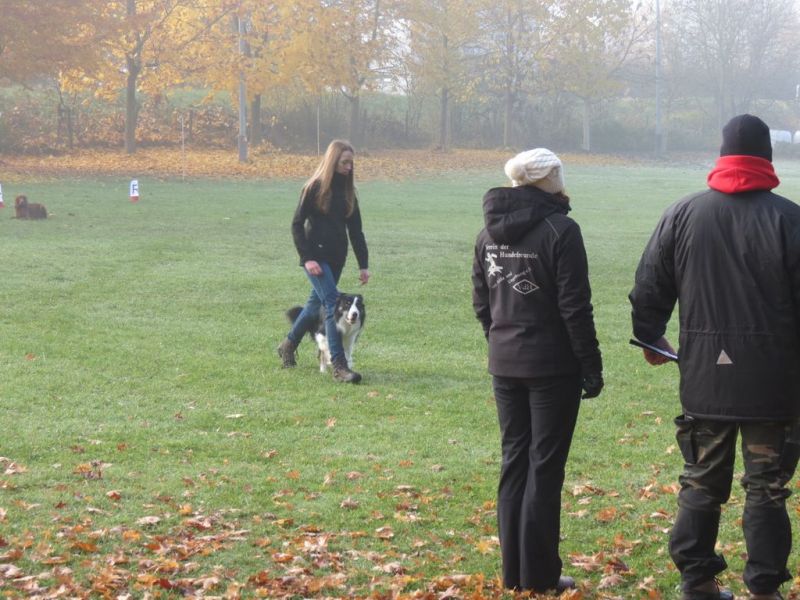 Begleithundeprüfung Herbst 2015