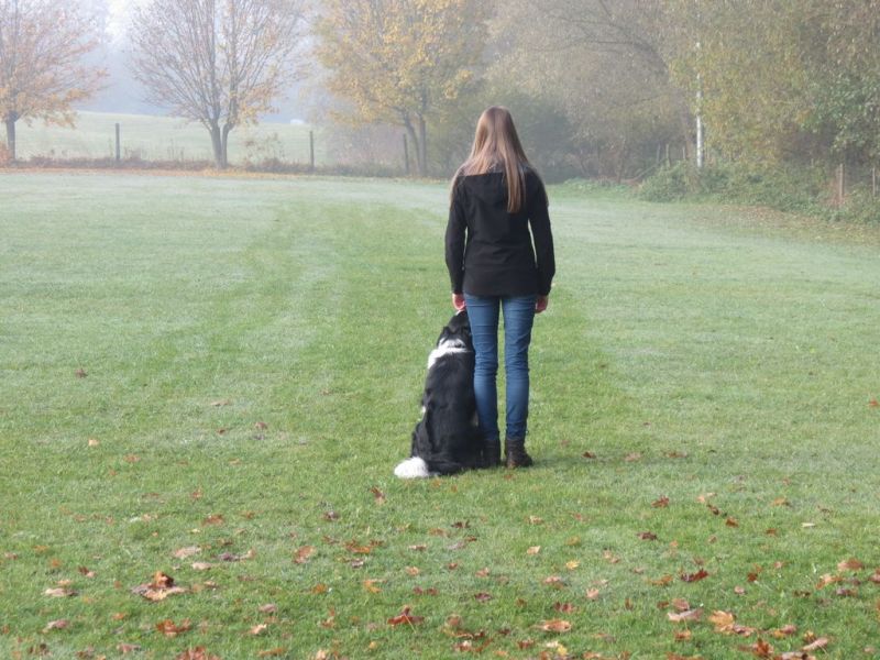 Begleithundeprüfung Herbst 2015