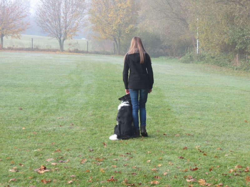 Begleithundeprüfung Herbst 2015