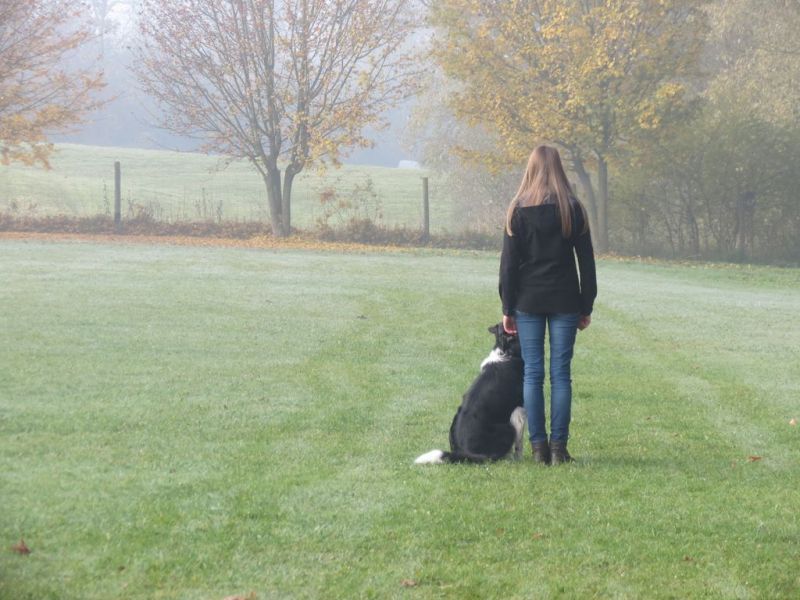 Begleithundeprüfung Herbst 2015