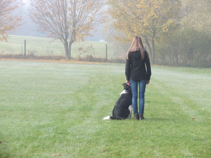 Begleithundeprüfung Herbst 2015